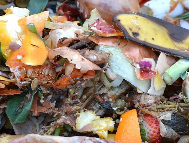 Giornata Mondiale anti-spreco, da ENEA il Decalogo delle buone pratiche 