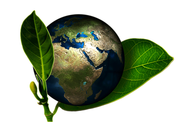 Recuperare l'anidride carbonica per riutilizzarla