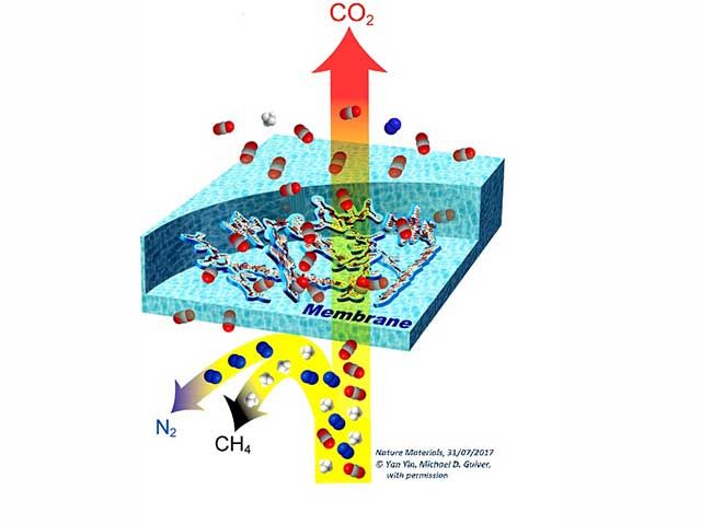 Membrane per filtrare la CO2 