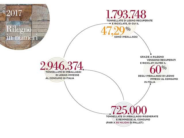 Il ciclo infinito del legno