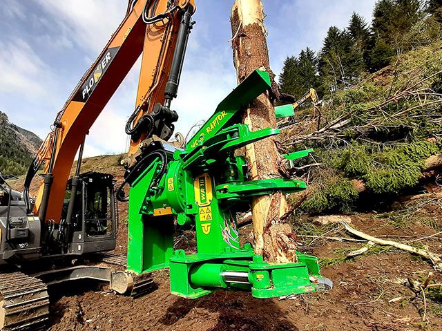 Pinza Abbattitrice Wood Raptor Serie WR