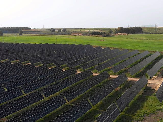 Inaugurato il più grande parco agrivoltaico in Italia