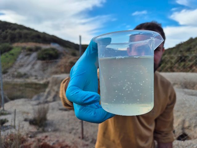 Batteri 'buoni' e piante per bonificare i terreni inquinati
