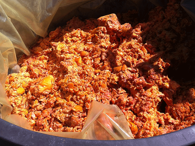 Energia dagli scarti degli agrumi