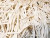 Bioplastiche, dati 2025: dumping, consumi stagnanti e incertezze normative rimandano la ripartenza del settore