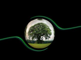 Lo stato dell’ambiente in Europa non è buono