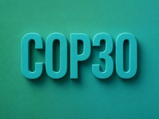 Perchè il riciclaggio dovrebbe essere una priorità della COP30