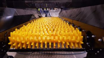 Dettaglio dischi vaglio stellare